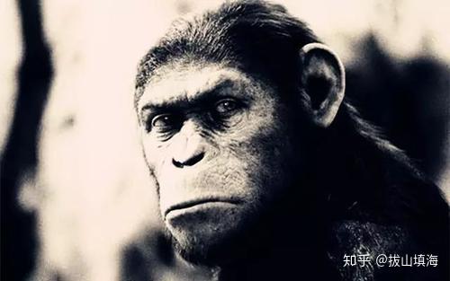 北大冯仁杰陷阱：生孩子 见父母 上床 - 知乎