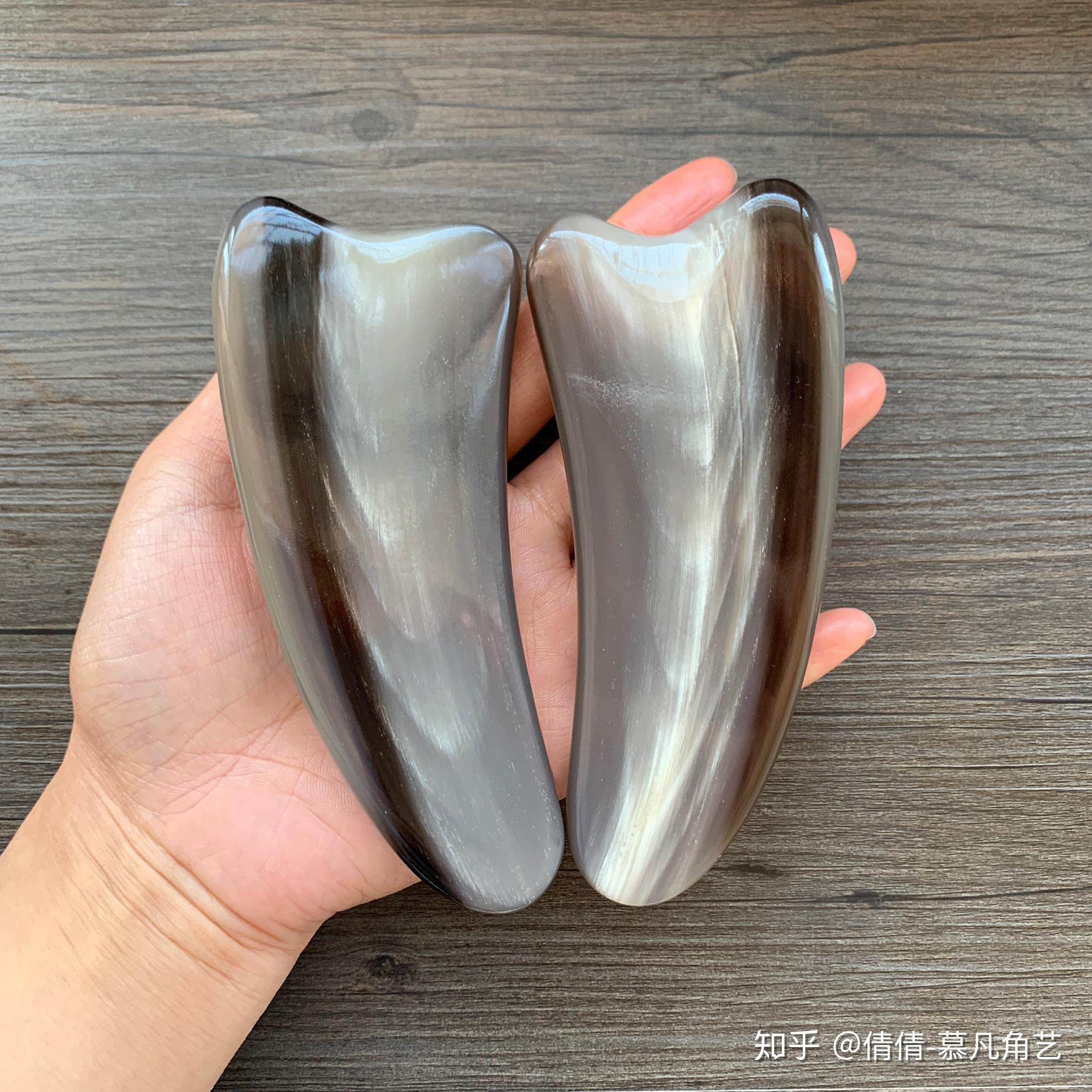 请问白水牛角角龄怎么看? - 知乎
