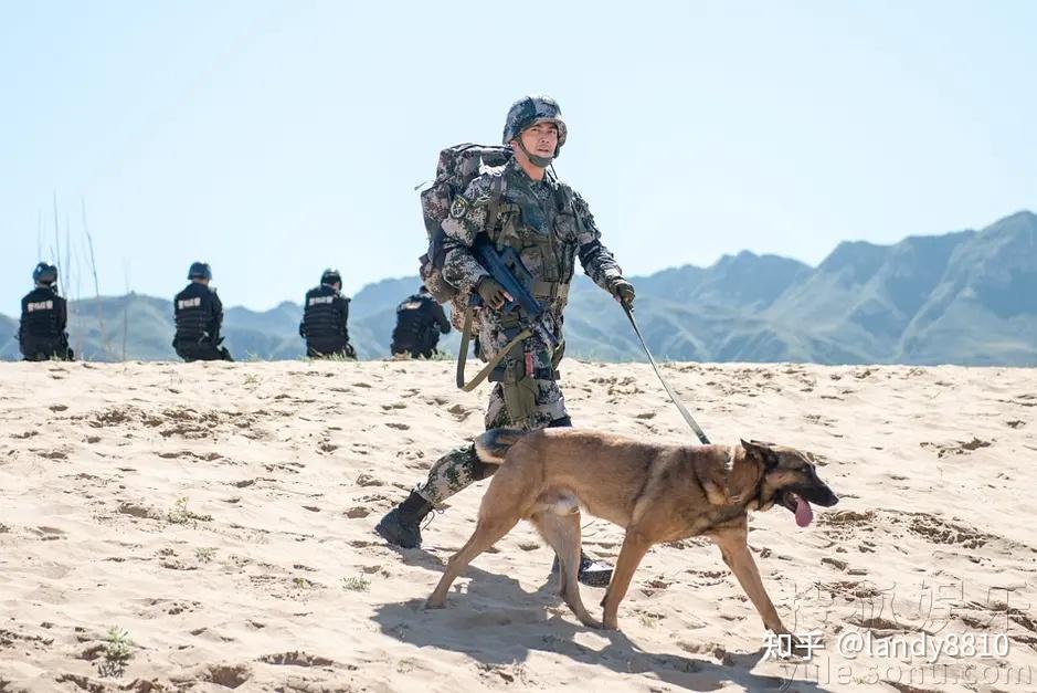 奇兵神犬第一期全集图片