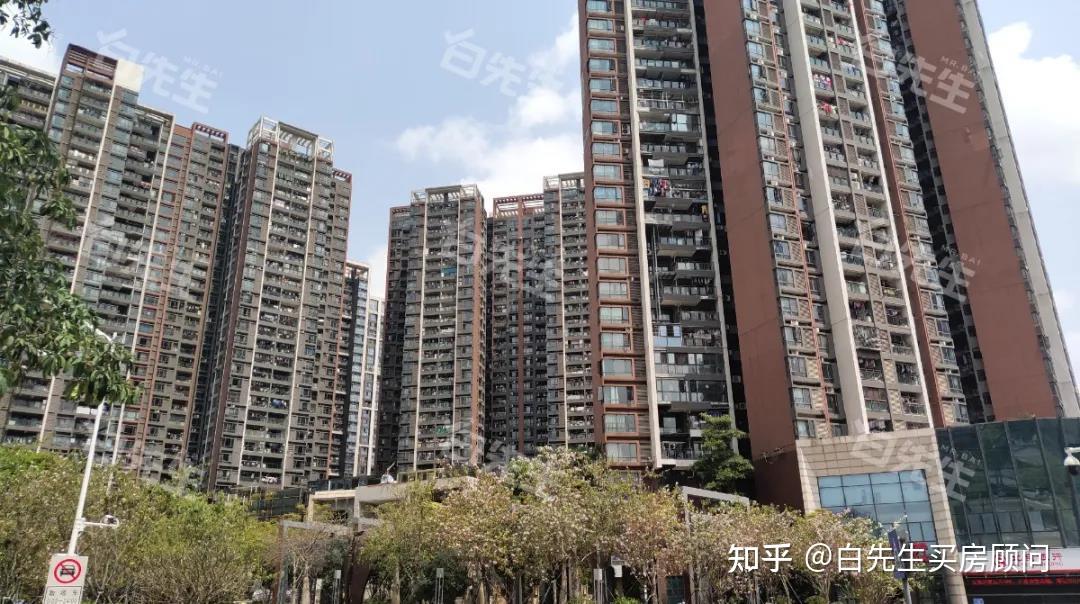 撑起龙华红山房价的深高北,学区内四大楼盘谁最强? - 知乎