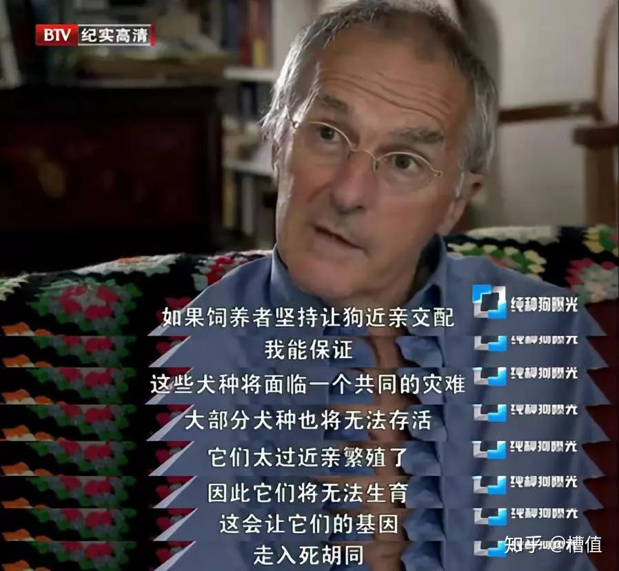 为什么有人类30字百科在线