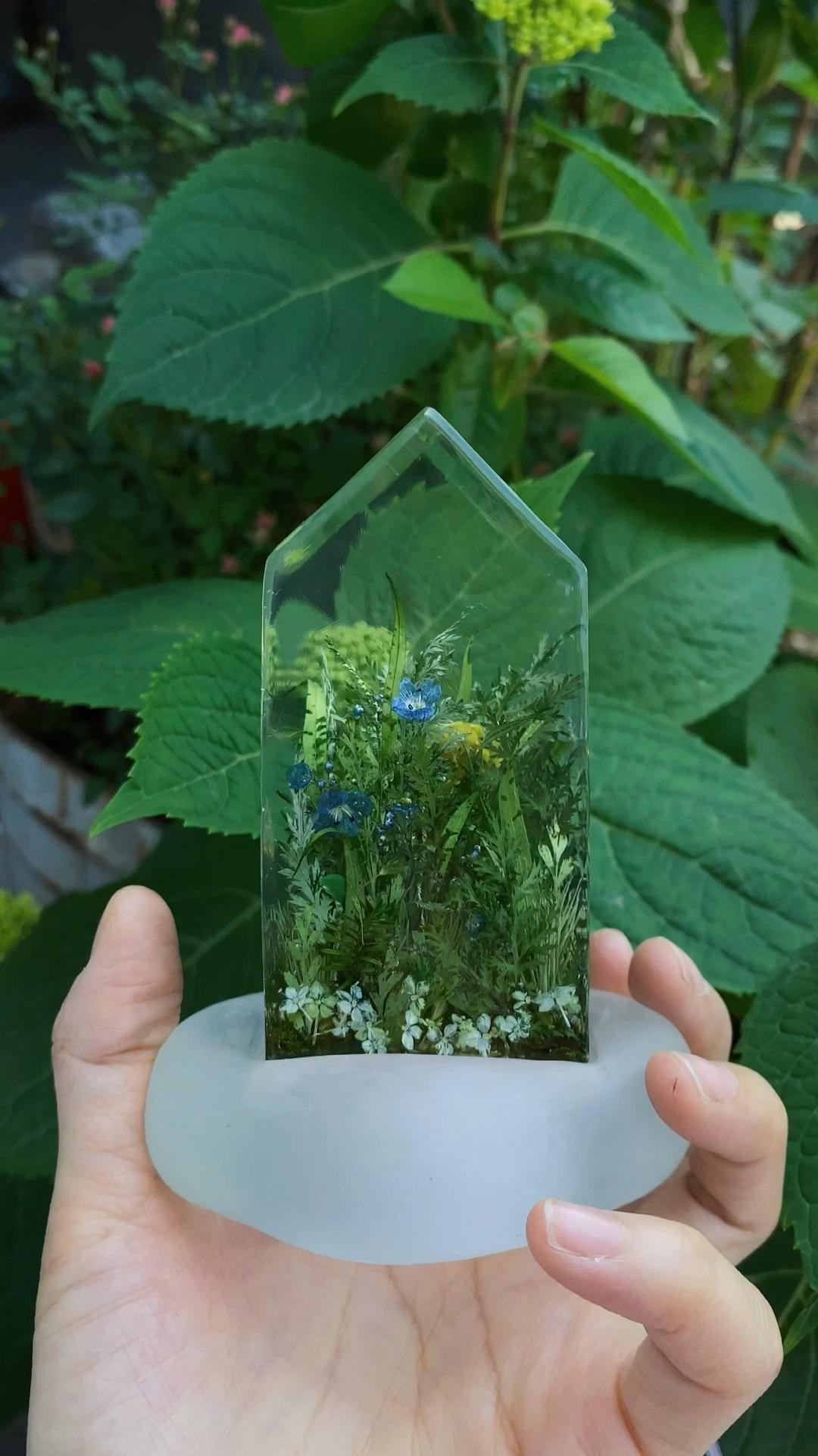 滴胶植物标本萤火虫植物小房子夜灯摆件