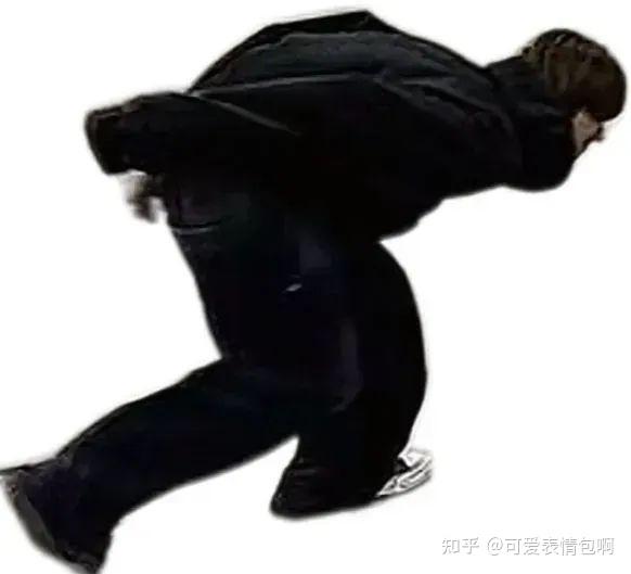 可爱水豚噜噜跑步卖萌表情包 - 知乎