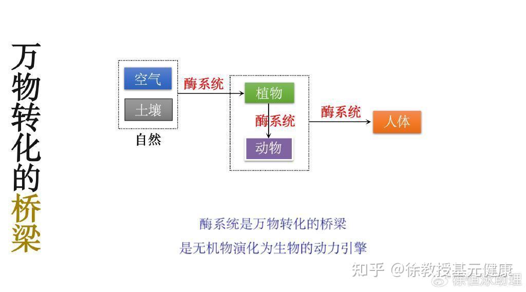 事实上,两度诺贝尔奖得主莱纳斯·卡尔·鲍林在上世纪就说过:"每一种