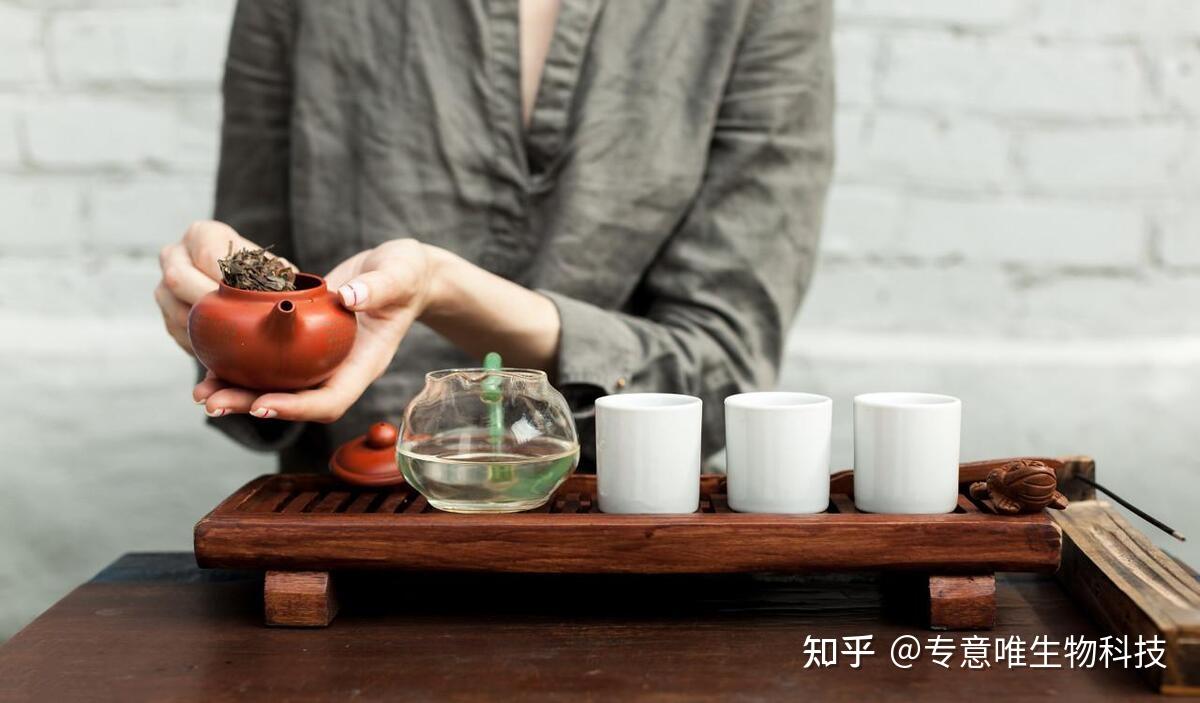 健康中国 茶疗先行 - 知乎