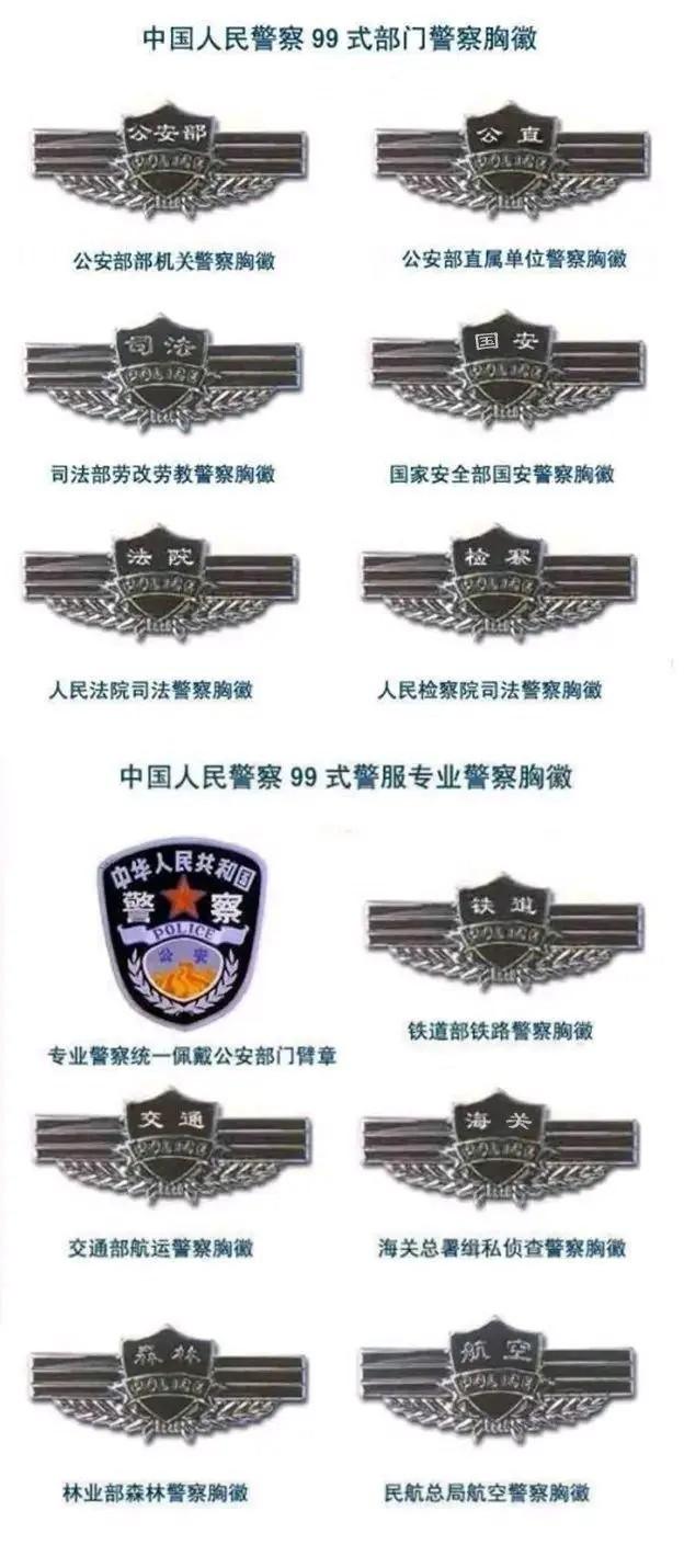 想知道这个人是辅警还是警察?