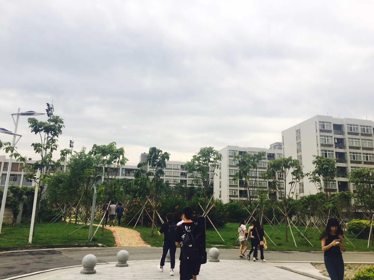 在星海音乐学院上学是一种什么样的体验