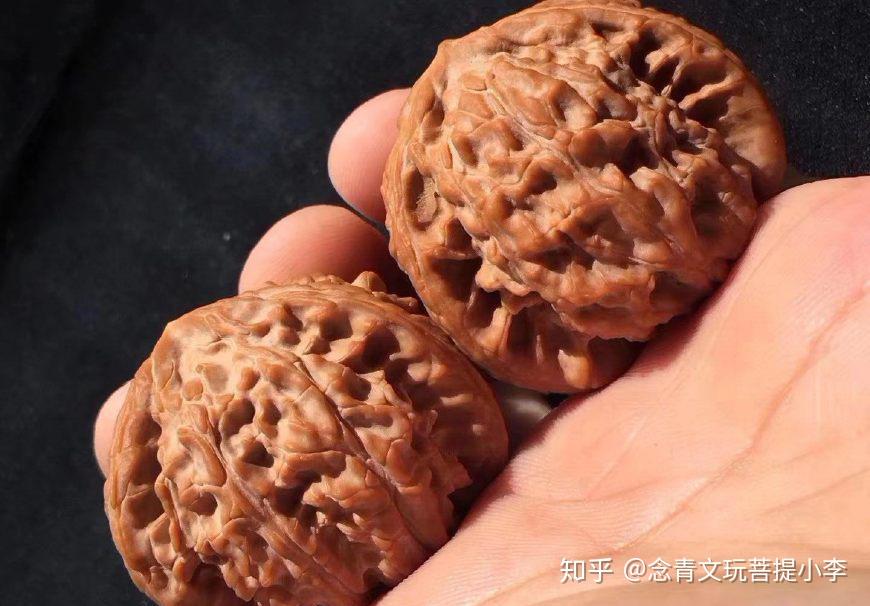 涨姿势：文玩核桃入门知识，长篇- 知乎