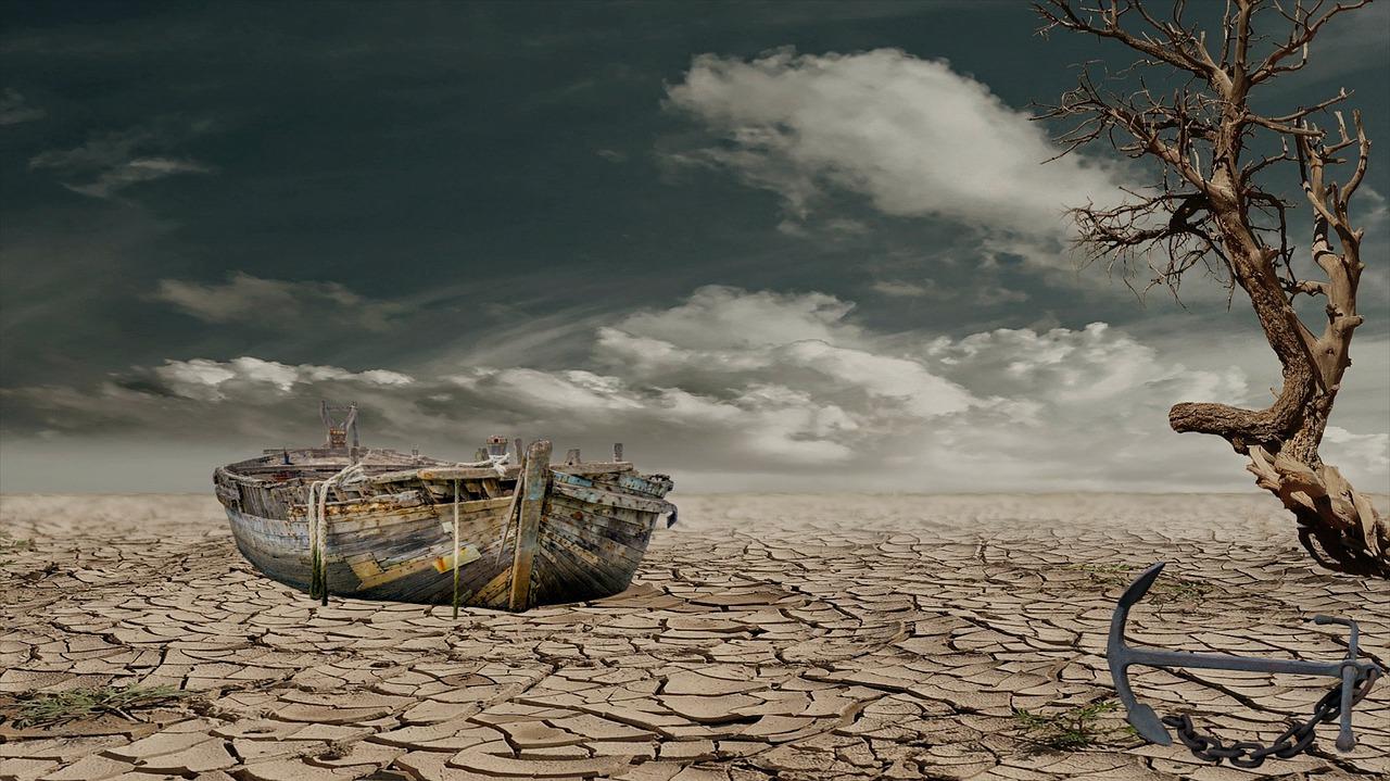 寒潮来袭，温暖问候送给你