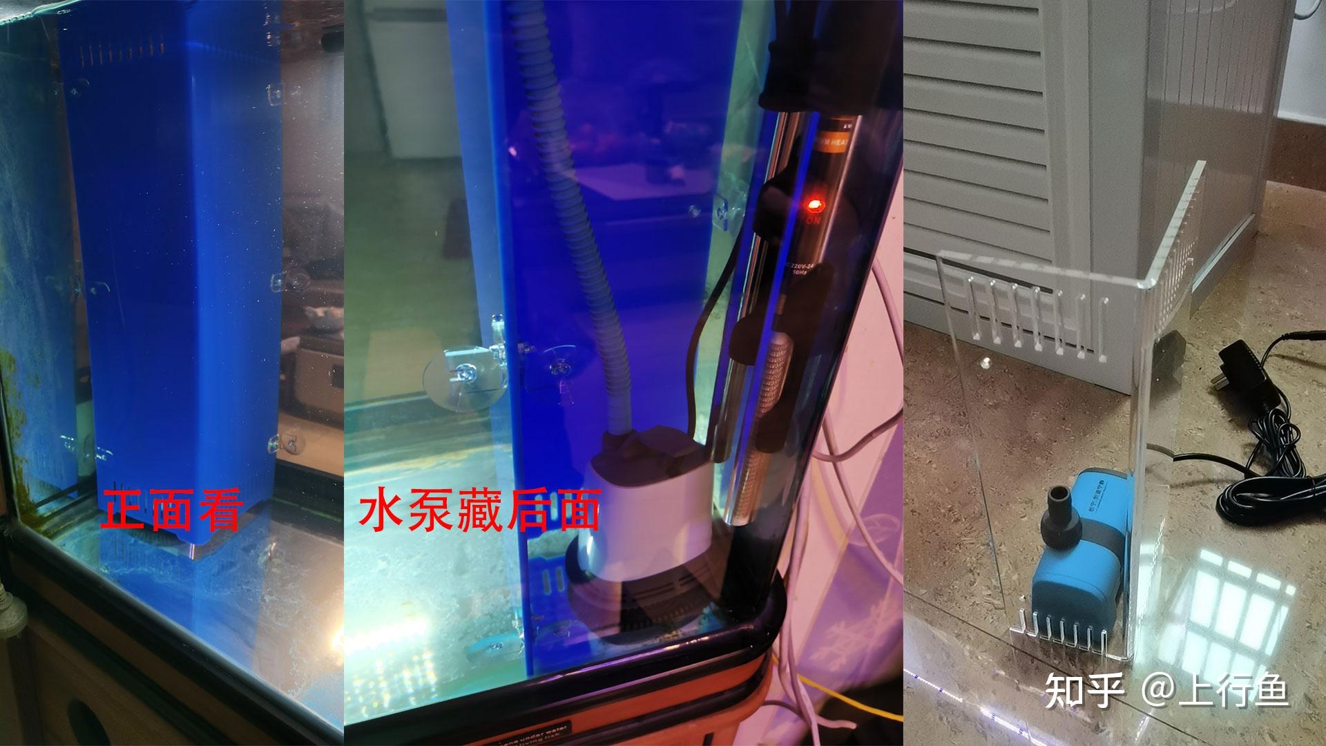 鱼缸潜水泵吸死鱼是什么原因