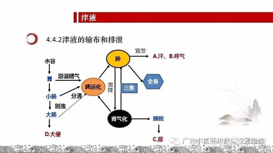 如何解读中医之“气”——脉诊仪理论来源3 - 知乎