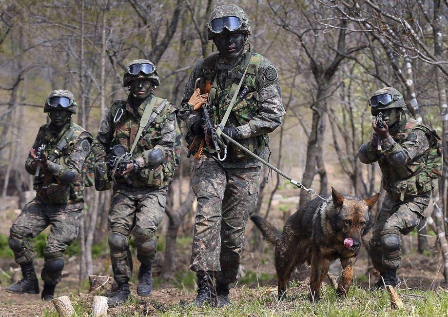 韩军花岗岩迷彩有知道的么? - 知乎