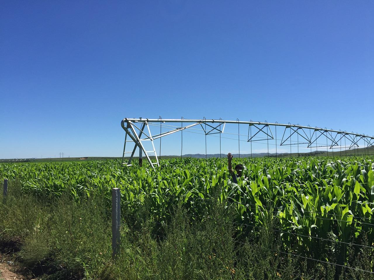 盐碱地怎么承包