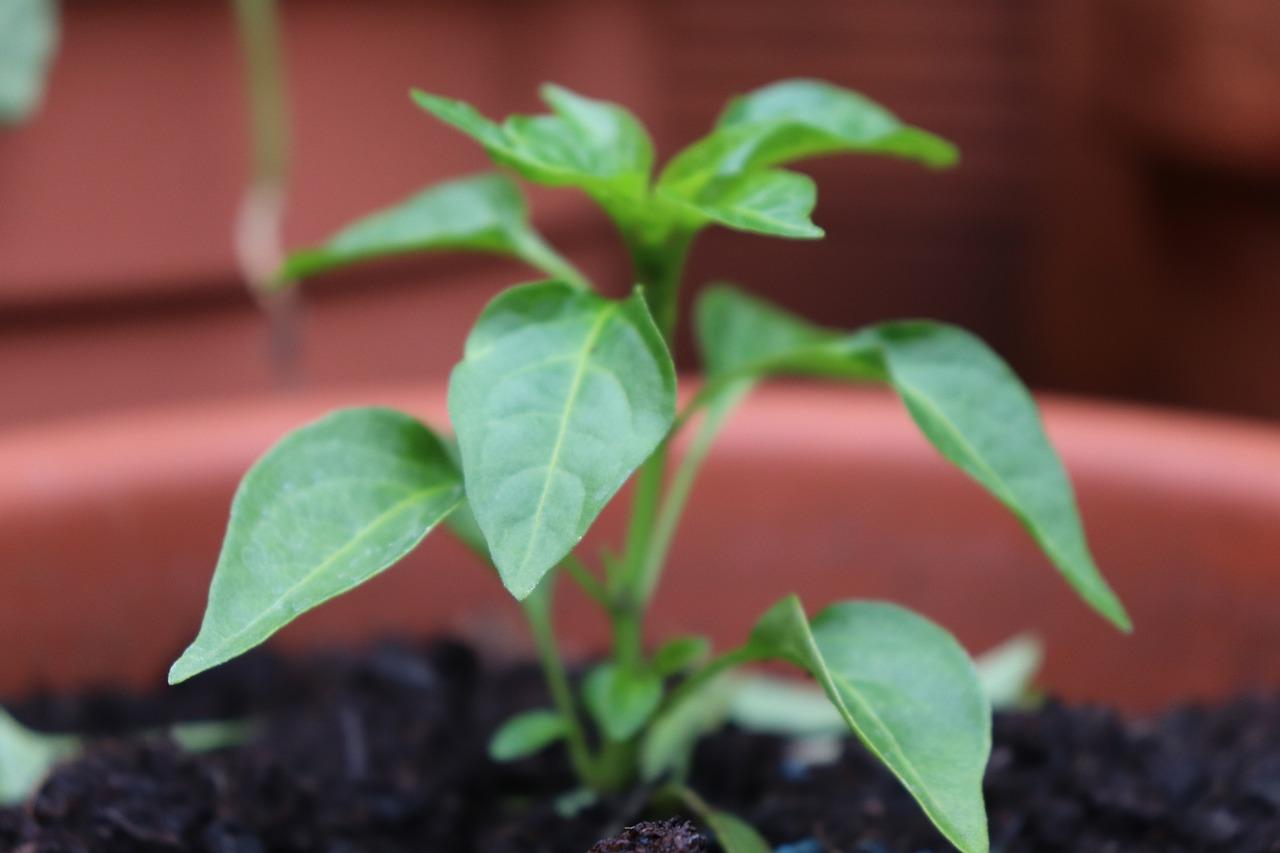 2. 种植周期速算