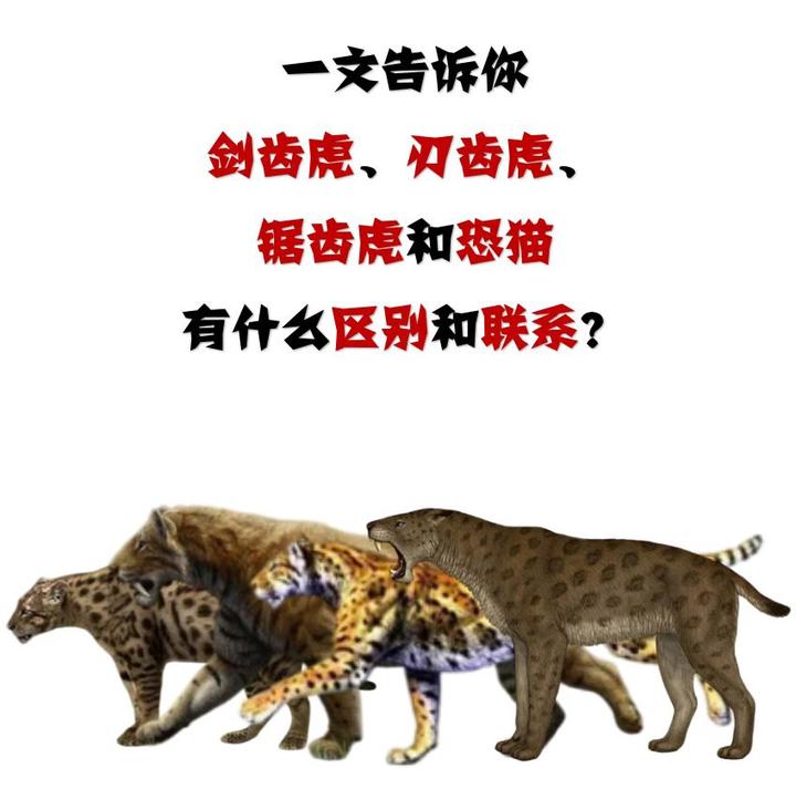 剑齿虎怎么还有这么多兄弟?哪个才是本尊?