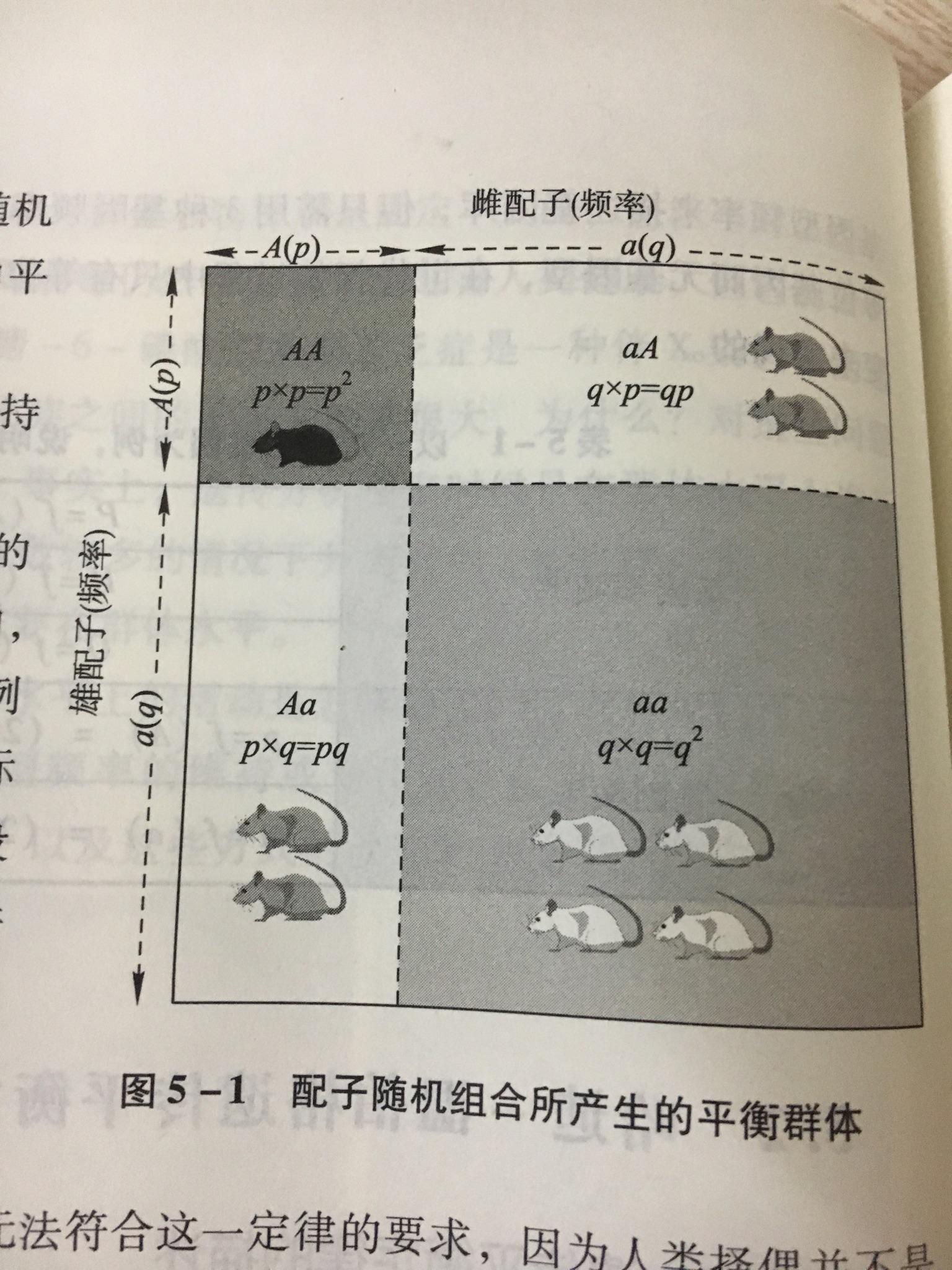 穿越火线-CF-官方网站-腾讯游戏-兄弟下把一起AG尊龙凯时- 尊龙凯时官方网站- APP下载