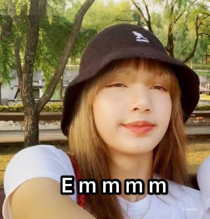 有没有black pink组合里lisa的表情包? - 知乎