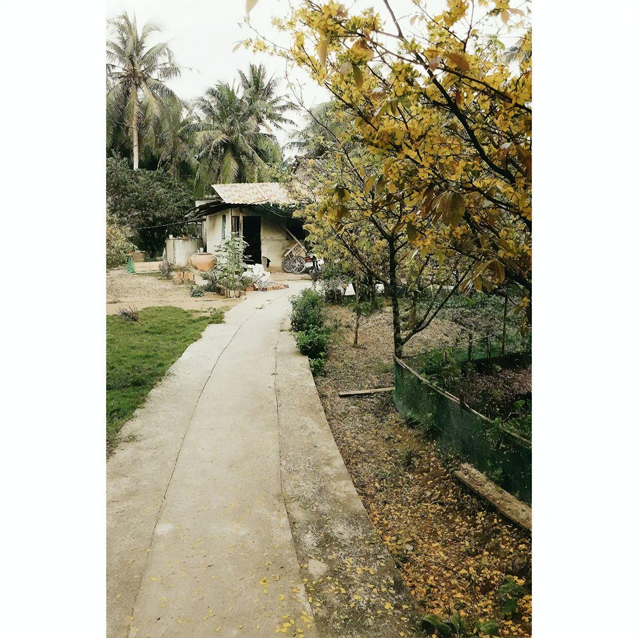 春来空调怎么样