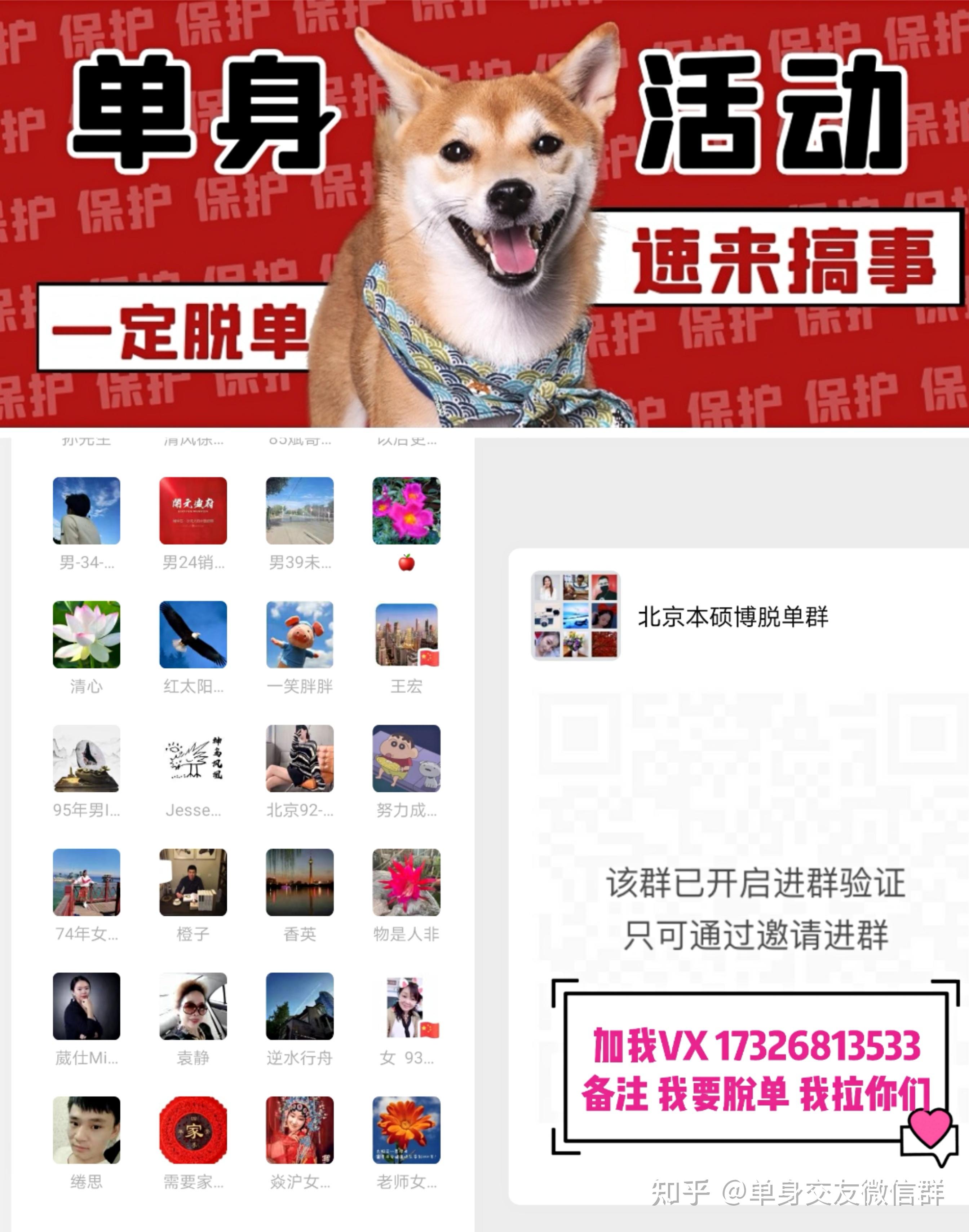 北京征婚交友群靠谱单身征婚群