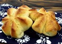 到湖北应城感受“早酒”文化