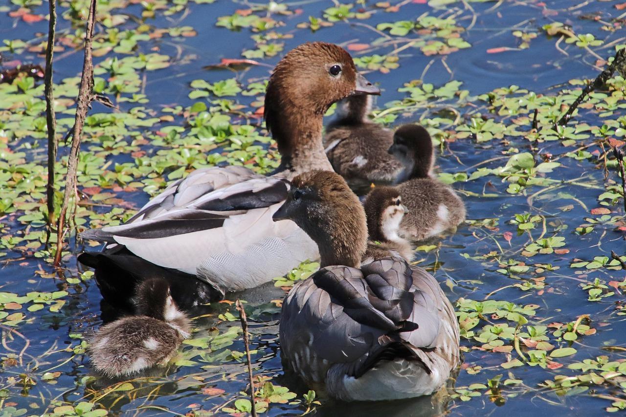 3. 噪音水平评测