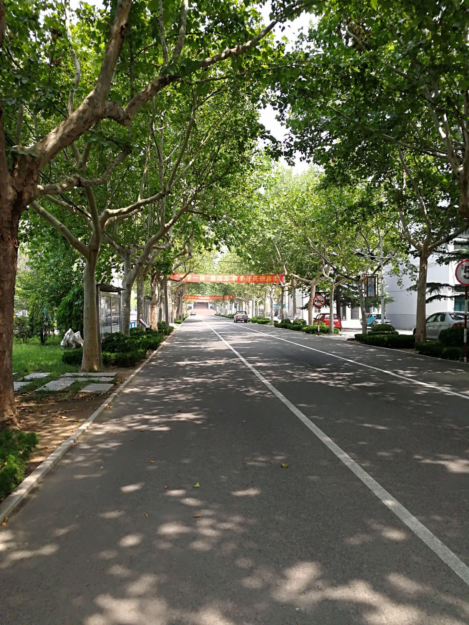 在高密一中是一种什么体验? - 知乎