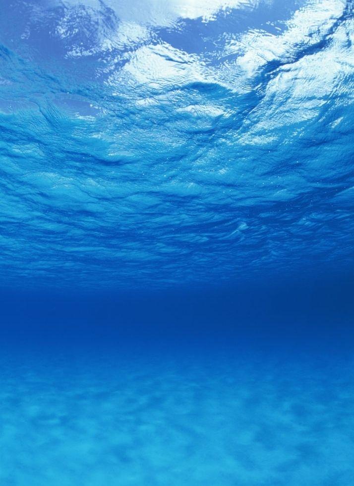 有没有好看的深海壁纸? - 知乎