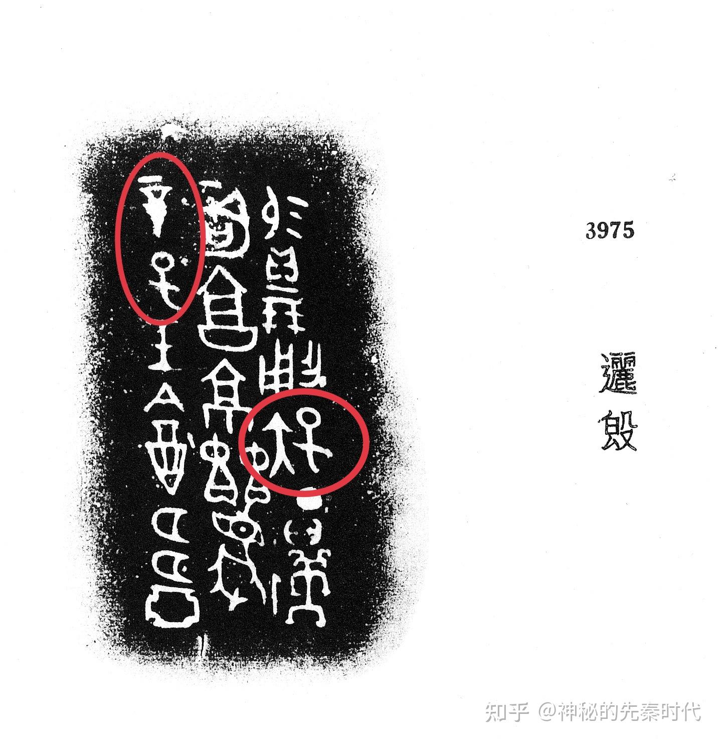 「子」字的甲骨文字形是什么?能详细说一下「子」字的演变过程吗?