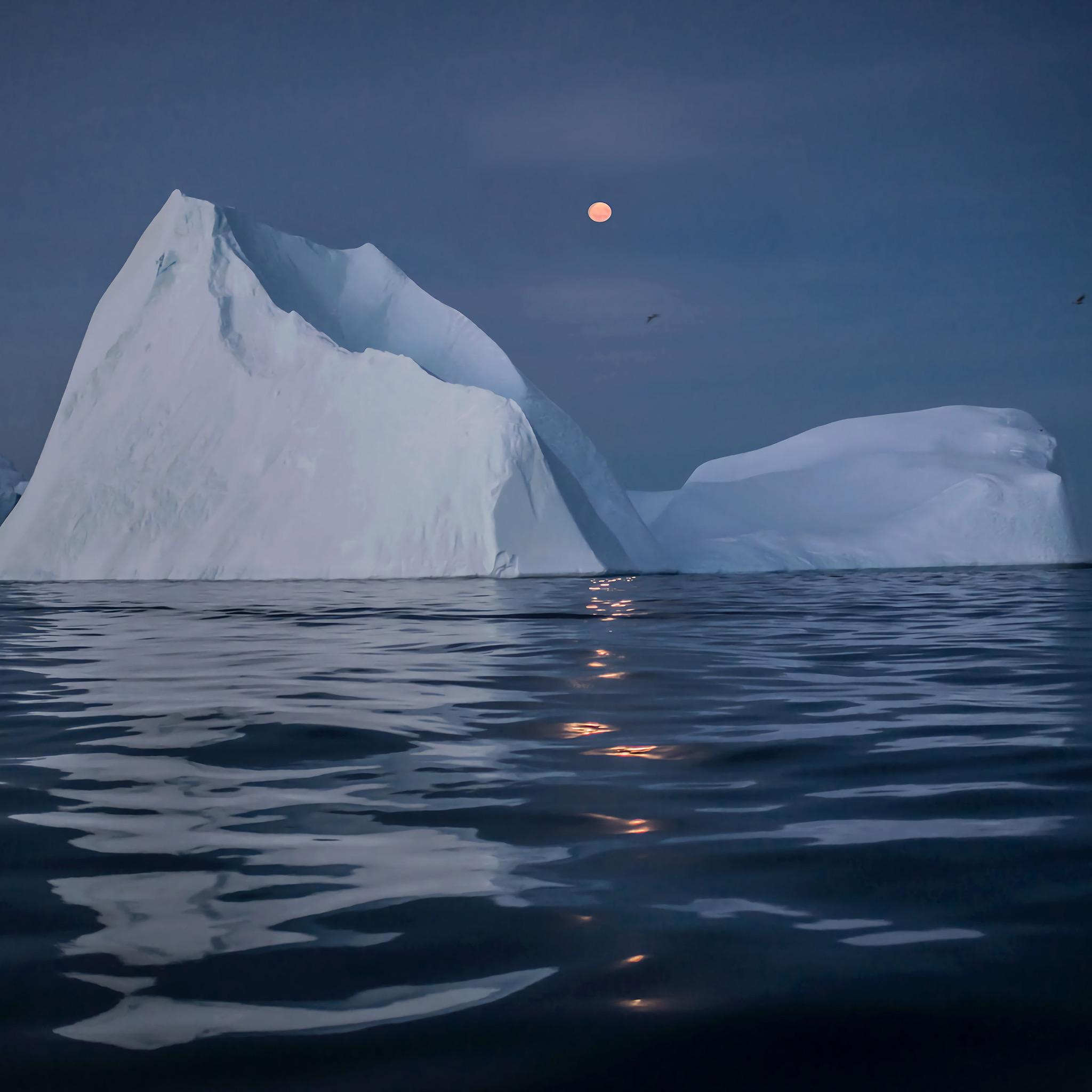 想康康大家的ipad壁纸可以分享一波吗