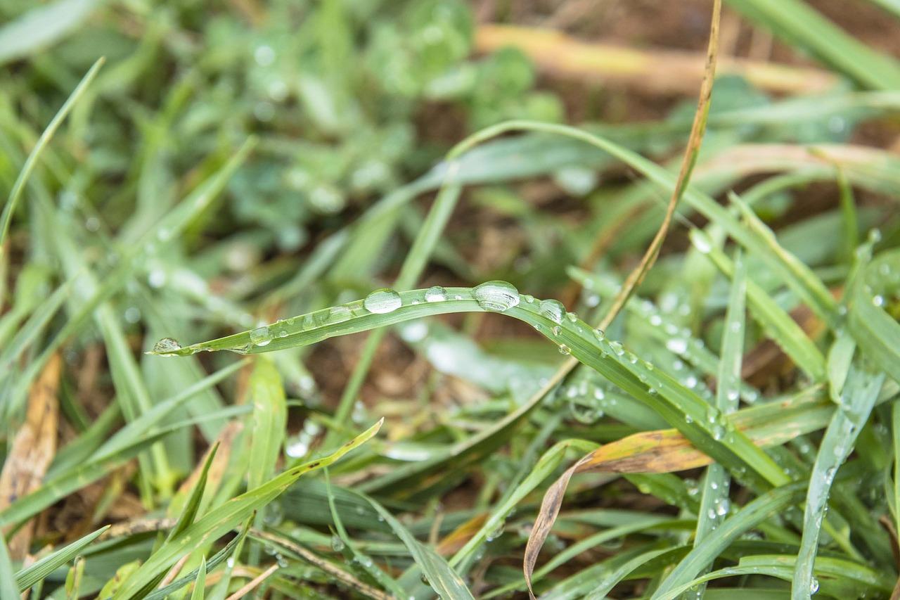 4. 夏日冰感爽身液