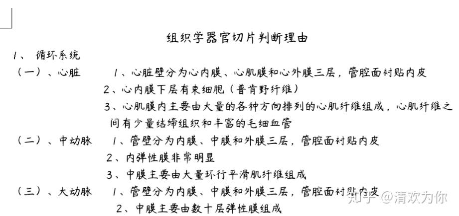 光镜下大动脉和中动脉有什么区别