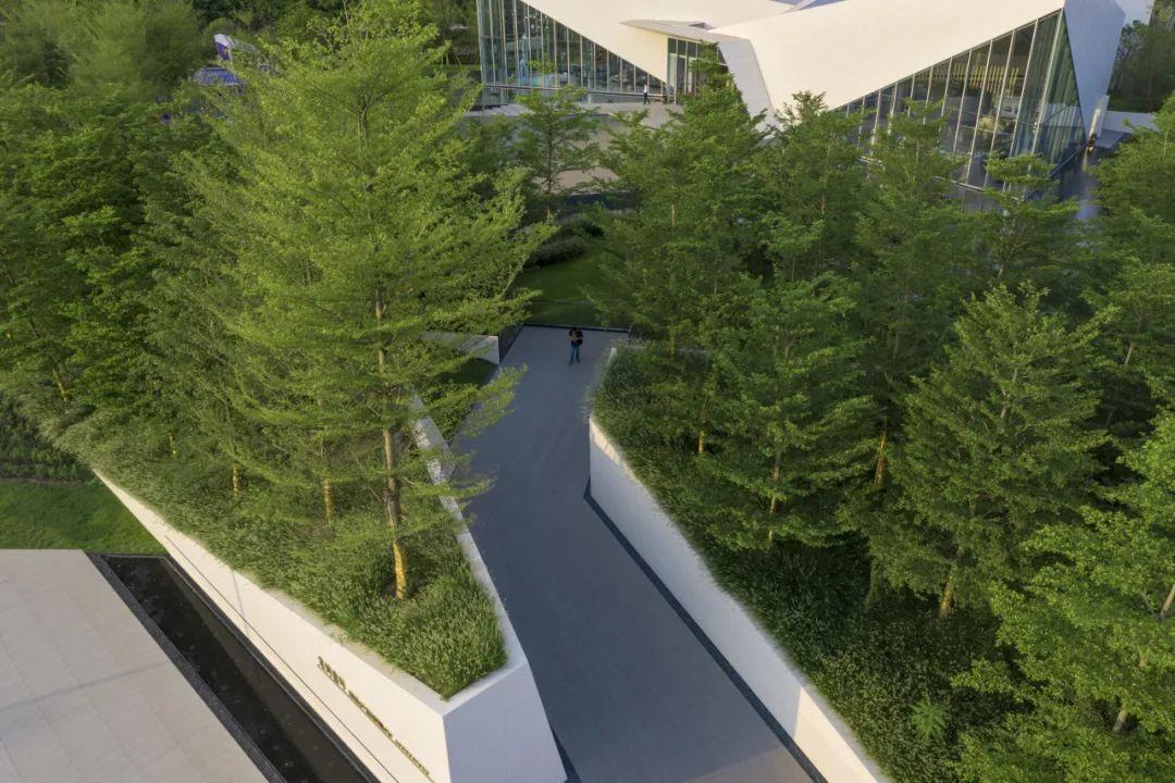 六大创新植物设计案例,编织都市生态空间新纪元 | 栖地设计 - 知乎