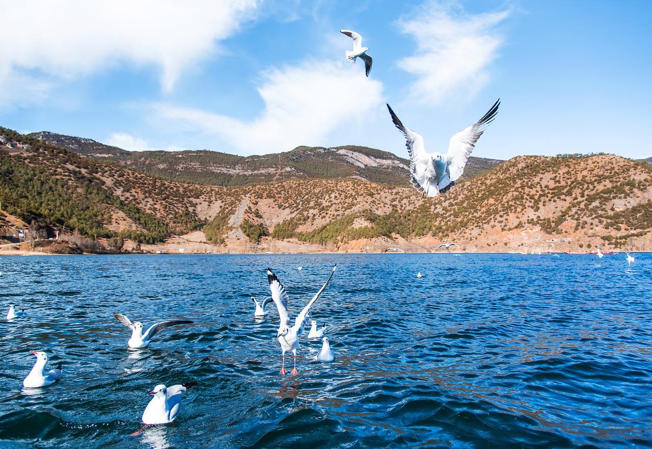 大理洱海畔豪宅推荐