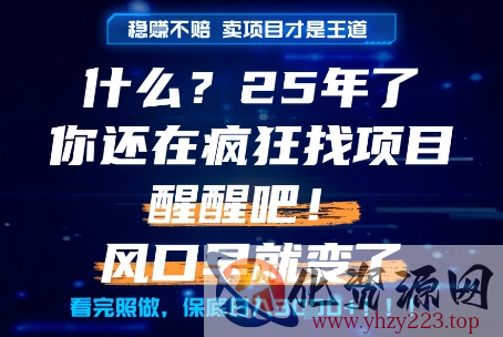什么？25年你还在疯狂找项目做，醒醒吧，看完这些你全都懂了！【揭秘】