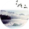公子是洛华