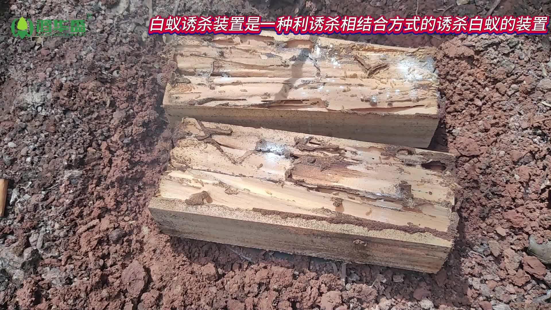 白蚁诱杀装置是什么