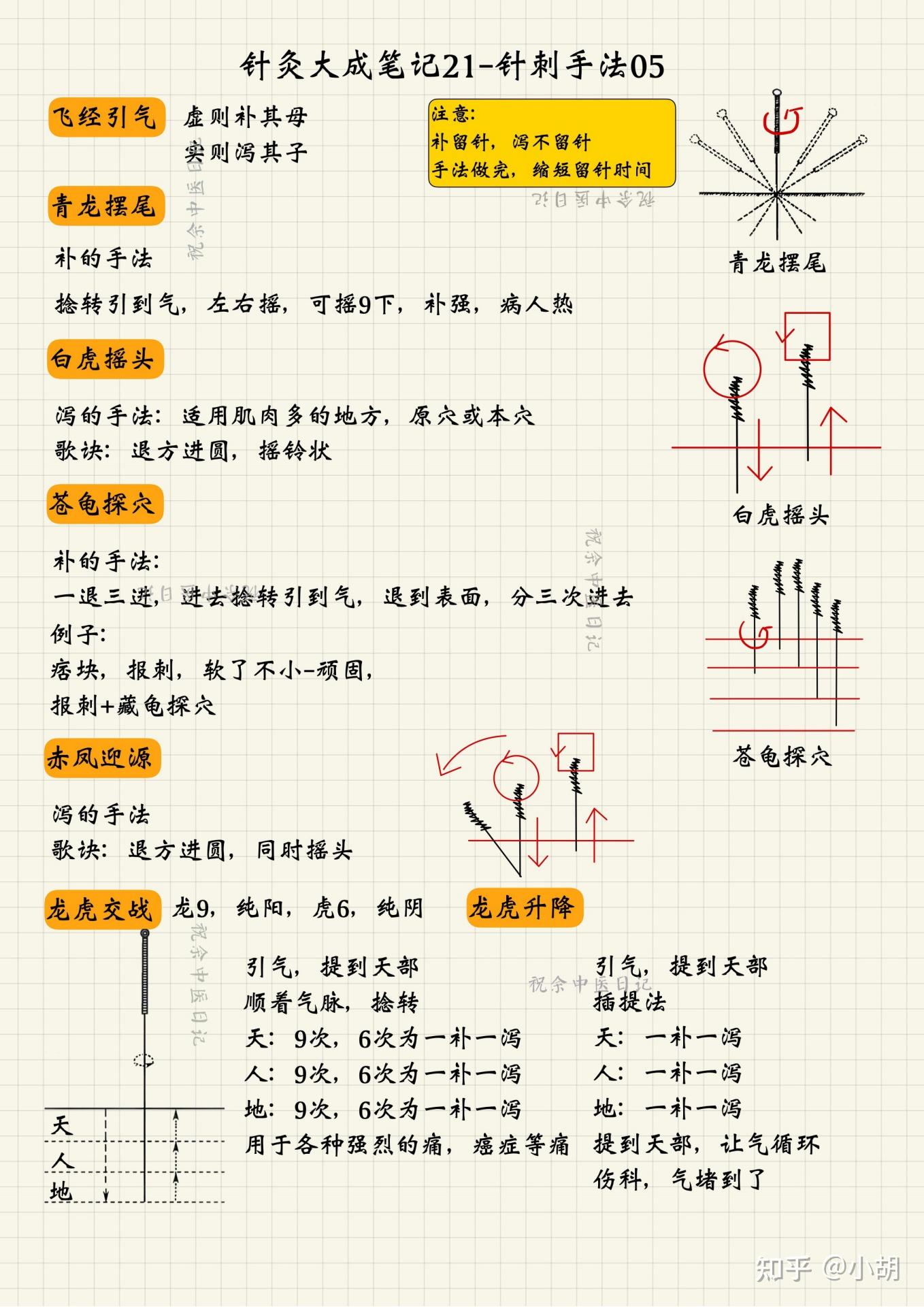 扎血气经验技巧图片