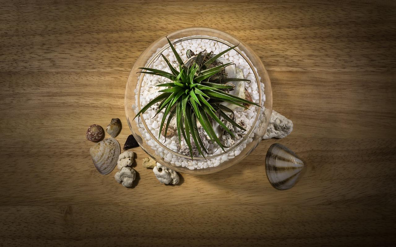 鱼缸电线如何隐藏