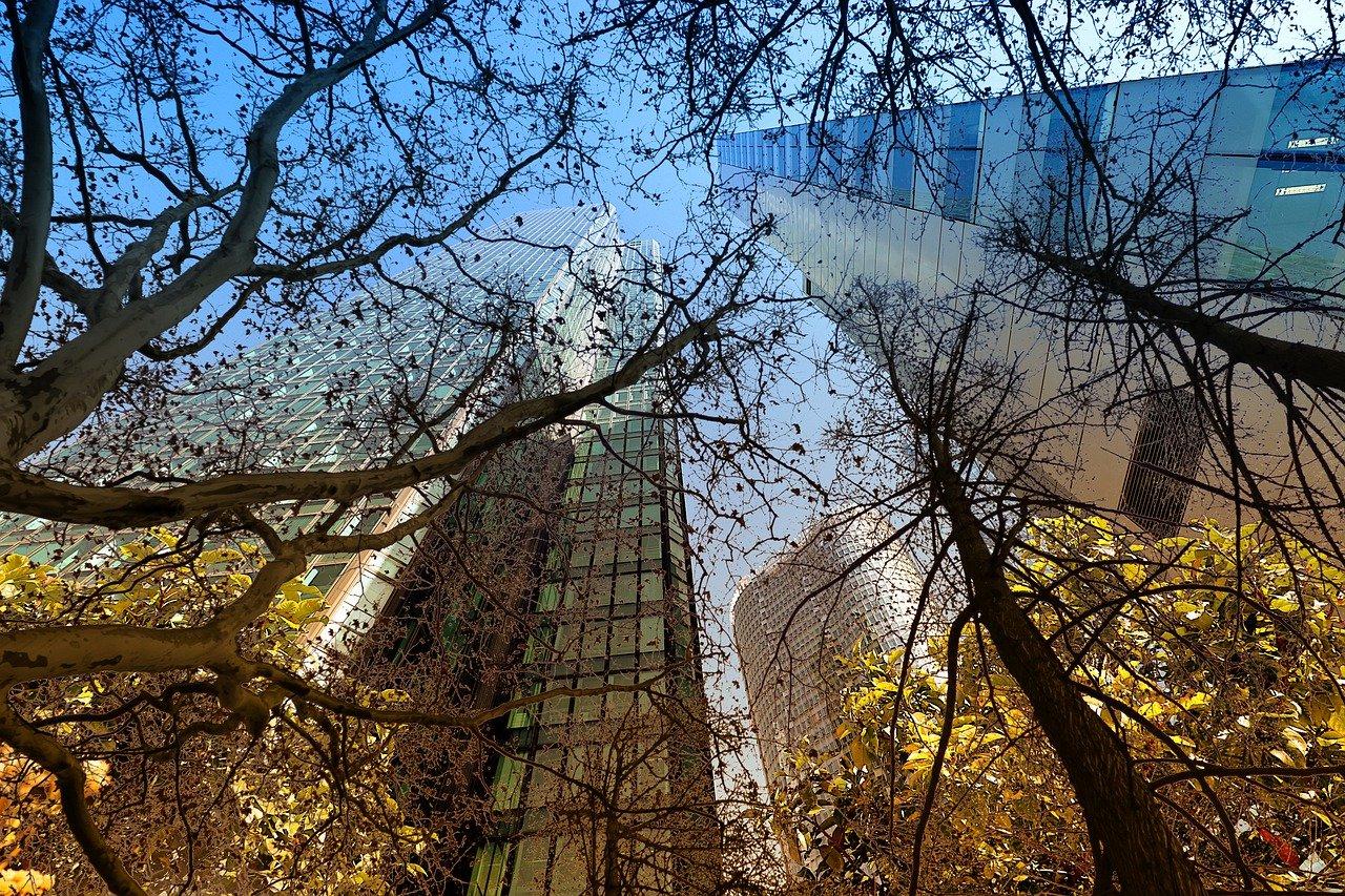 3. 职能区发展前景