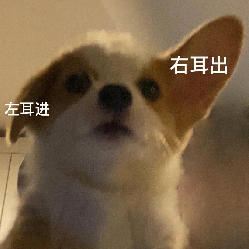 80张无水印有趣可爱的表情包 - 知乎