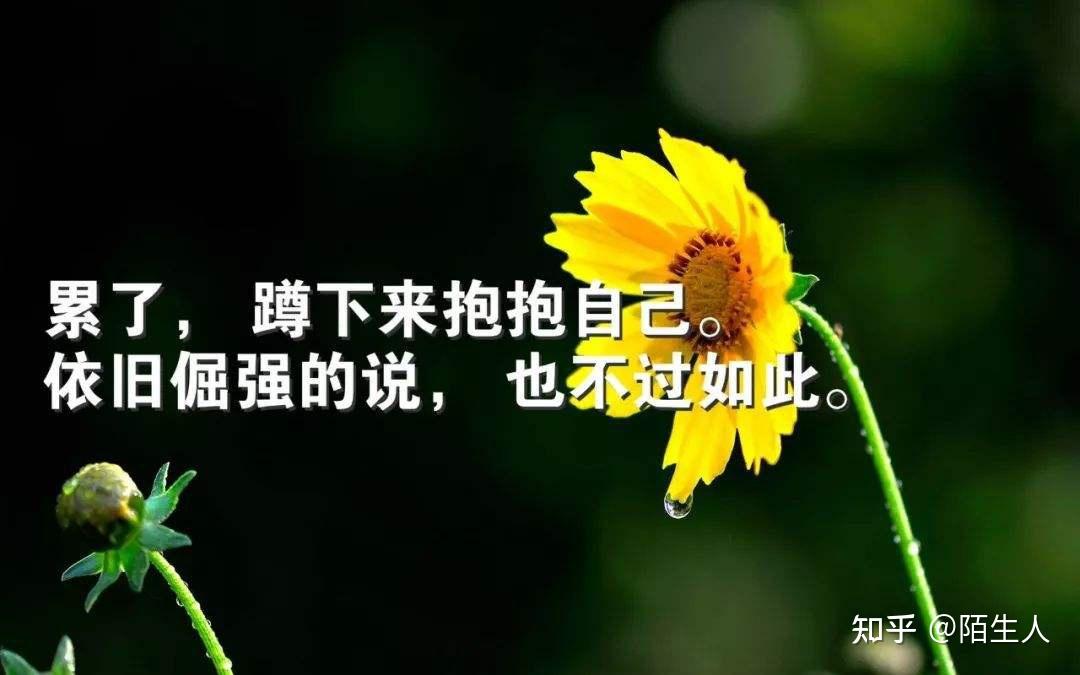 有没有哪些句子让自己瞬间清醒? - 知乎