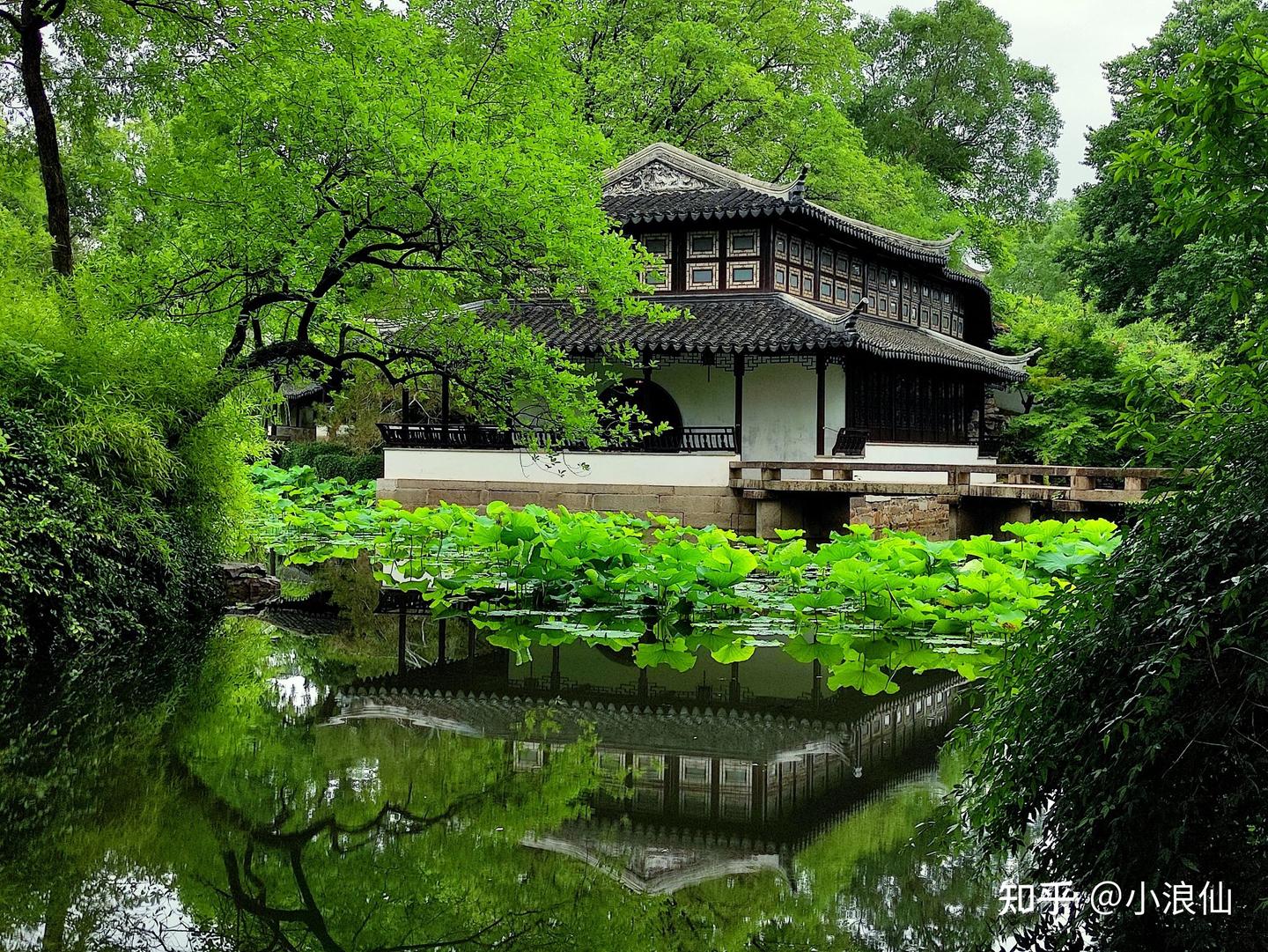 拙政园旅游攻略~ - 知乎