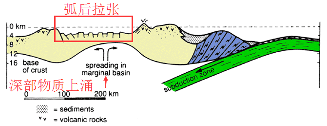 日本海的海底是大洋海盆吗?