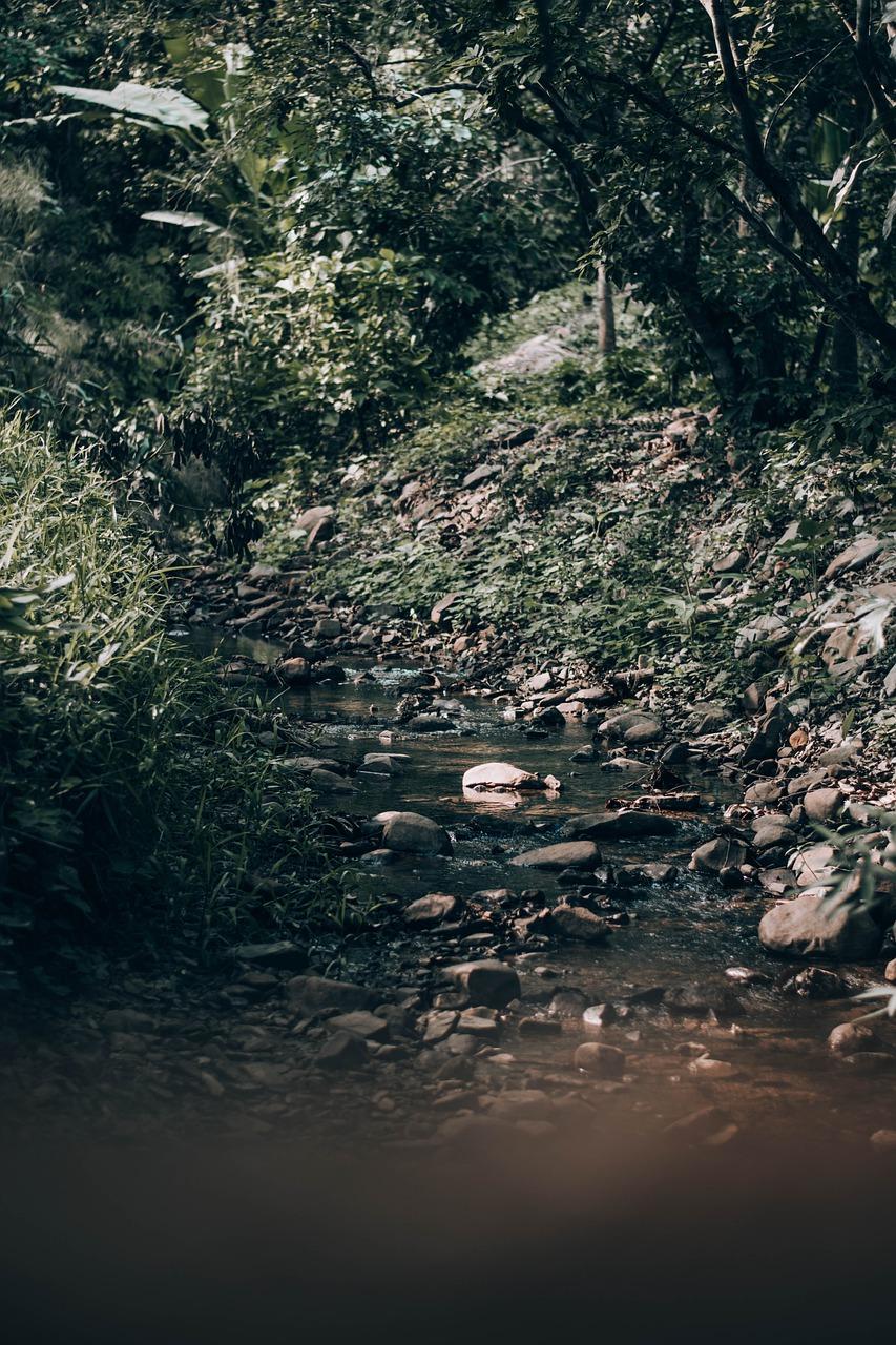 郴江完小环境设施