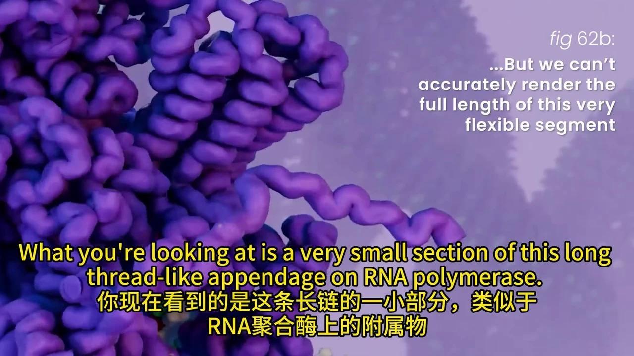 彻底解密DNA转录与mRNA剪接:动画揭秘生物学奥秘 - 知乎
