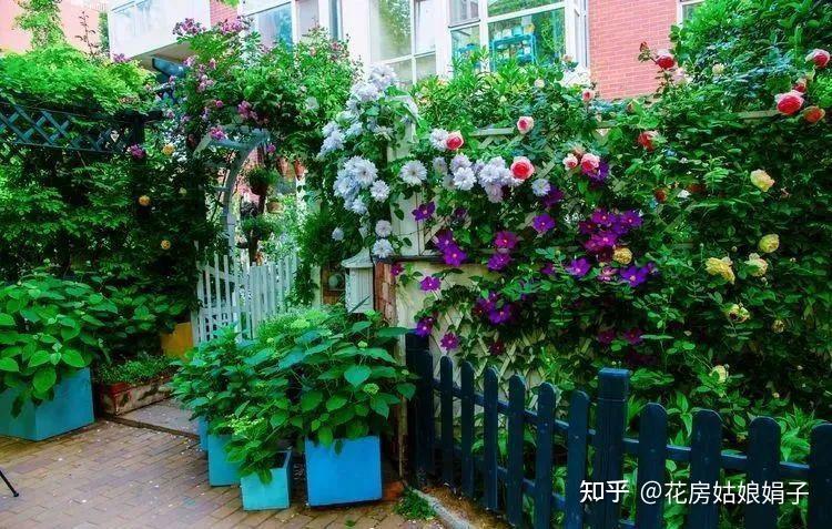 花费11年心血，把55㎡小院打造成“网红打卡地”，如人间仙境一般 - 知乎