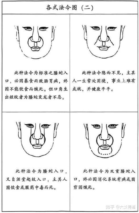 面相解析：法令纹 - 知乎