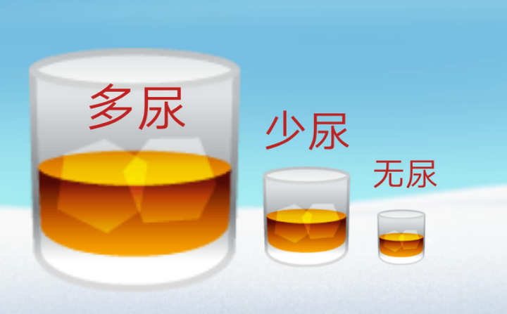 尿量异常敲响警钟：多尿、少尿、无尿、夜尿的临床真相 - 知乎