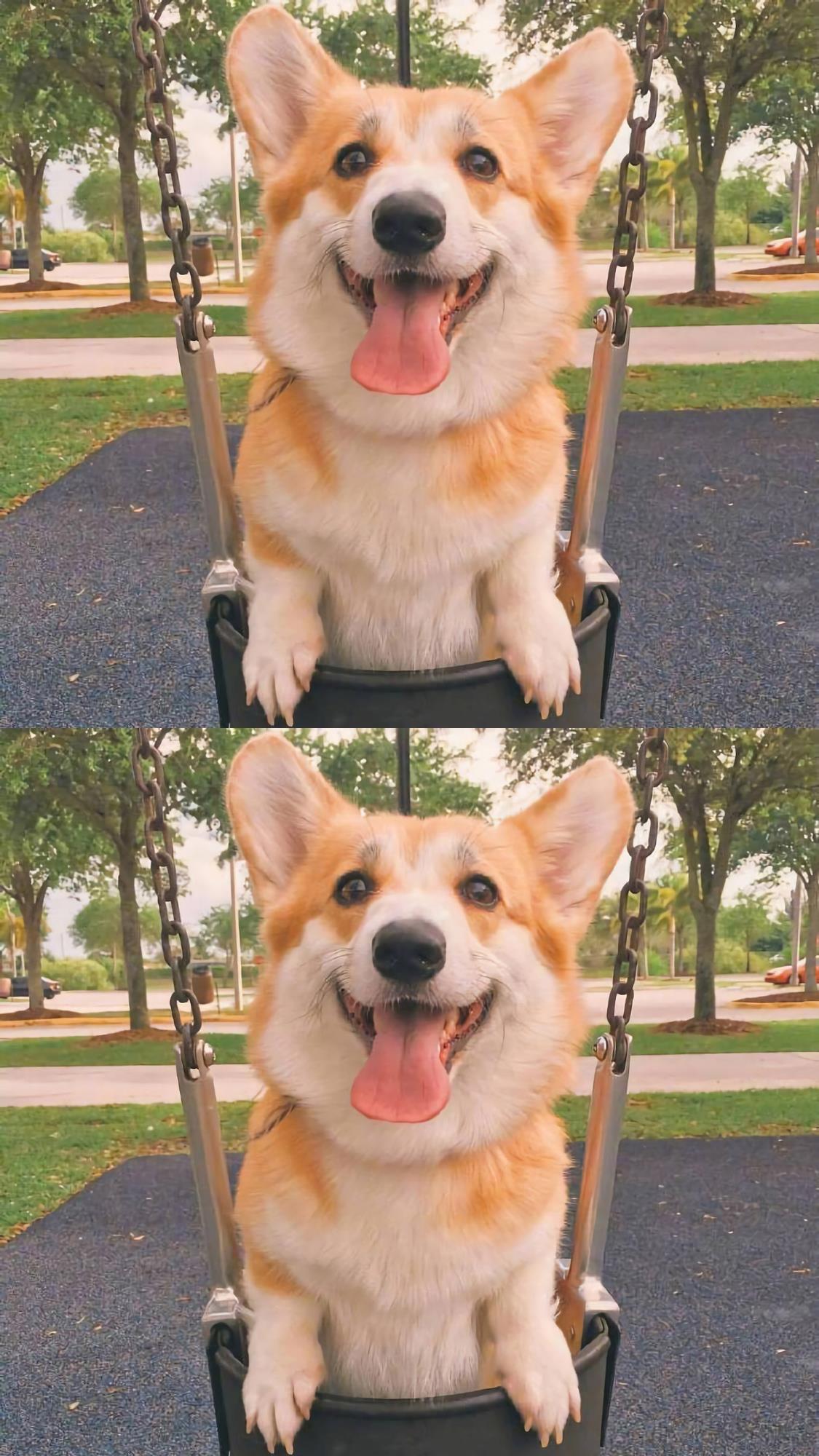 有没有什么惊艳的微信头像?-特别惊艳到人的微信头像