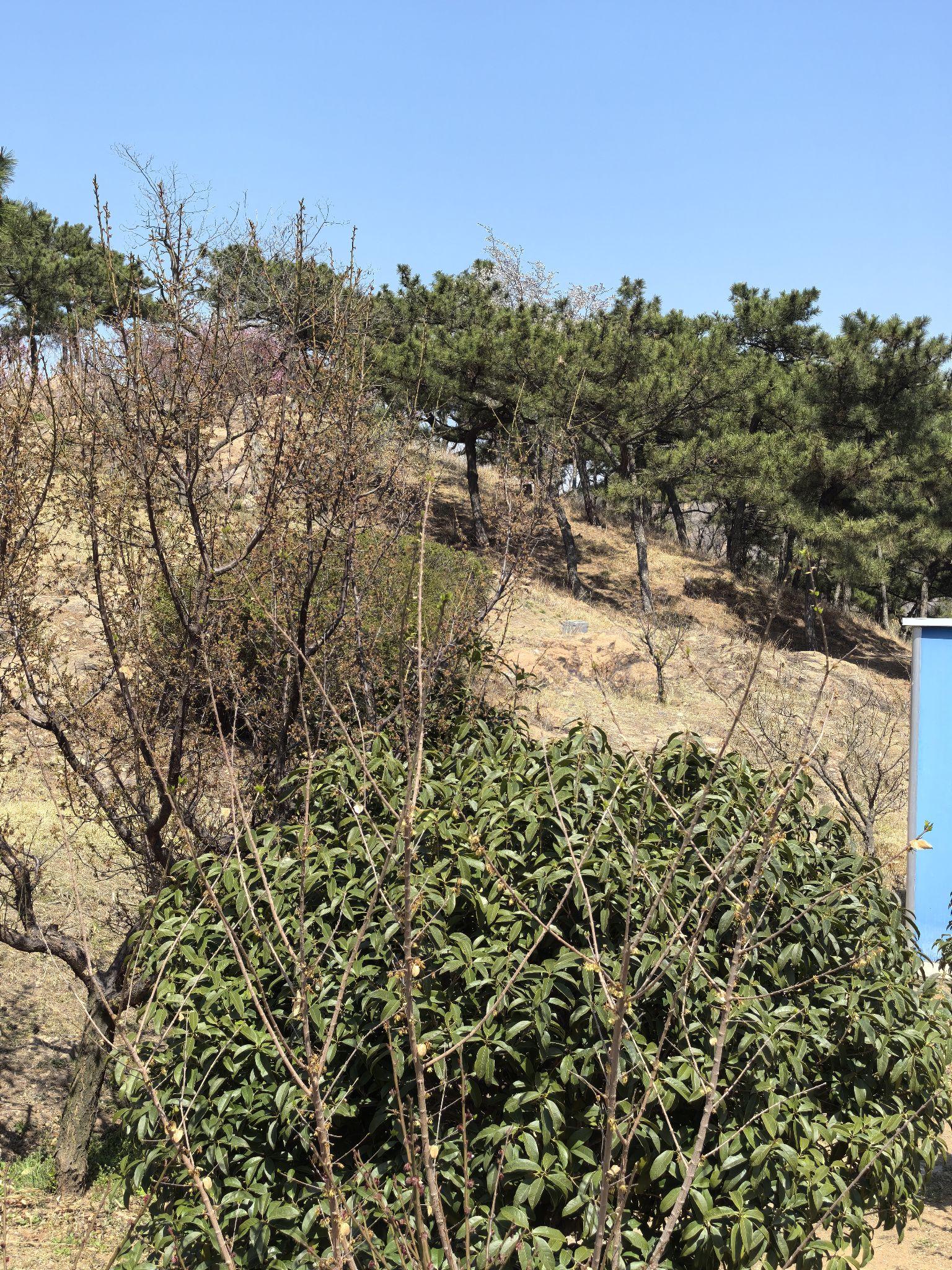 青岛市李沧区的十梅庵真是让我大开眼界